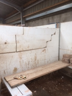 Builder: Image 7